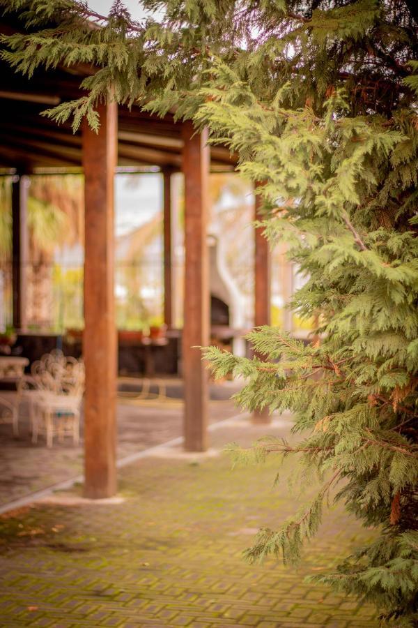 Bed & Breakfast Kalinka Bed & Breakfast Motta Sant' Anastasia Ngoại thất bức ảnh